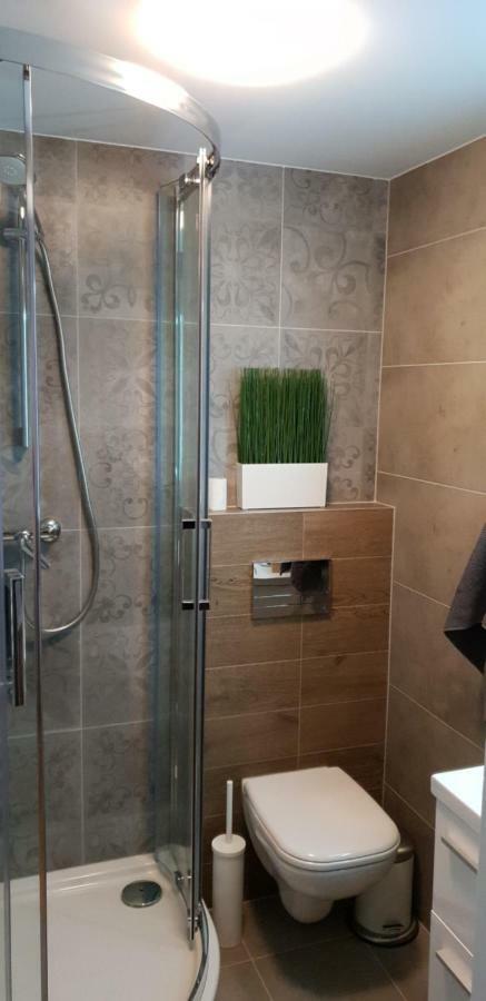 Apartment Lenartowicza 克拉科夫 外观 照片