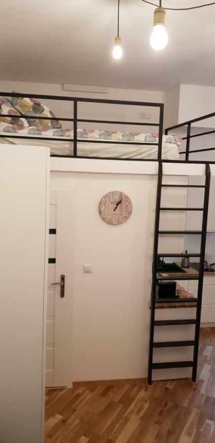 Apartment Lenartowicza 克拉科夫 外观 照片